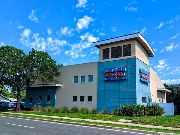 Commercial Construction Project or Insight Photo: First Coast Veterinary Emergency